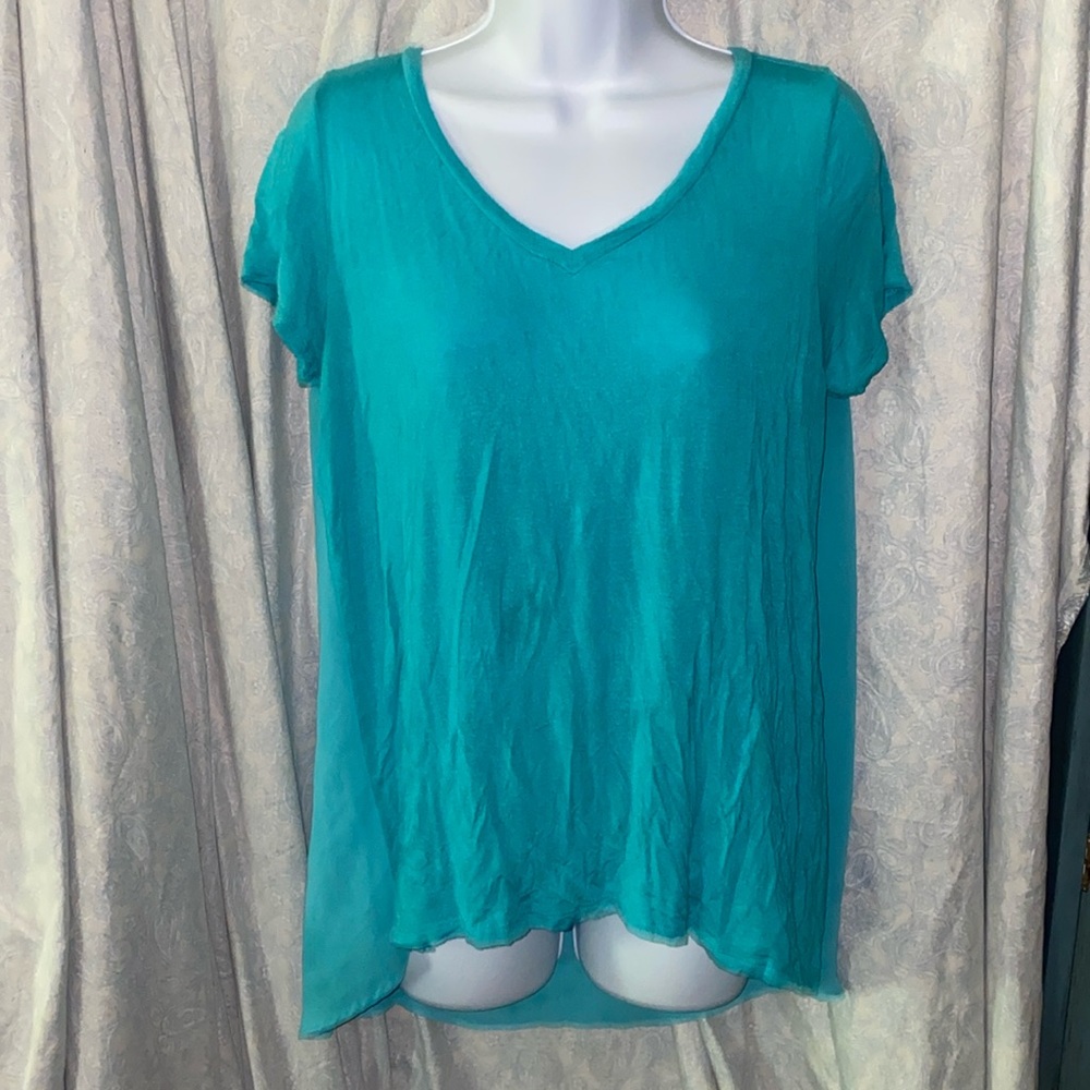 ⭐️ 5/$20 Heart and hips soft, teal, Large t shirt. Sheer in back.